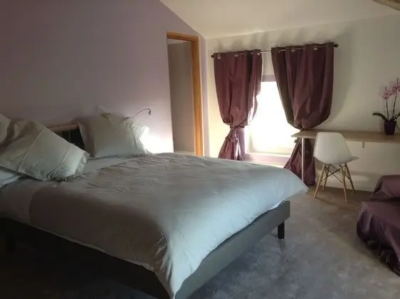 Deluxe Tek Büyük Yataklı Oda, 1 Büyük (Queen) Boy Yatak