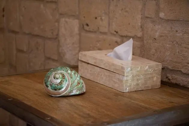 Tek Büyük Yataklı Oda (Huile miraculeuse de Baobab)