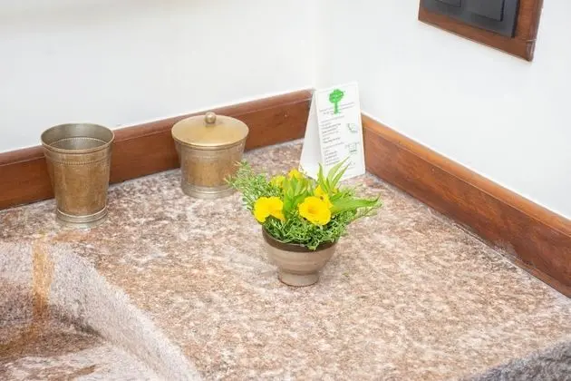 Tek Büyük Yataklı Oda (Huile miraculeuse de Baobab)