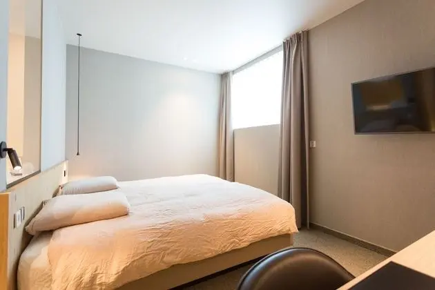 Standard Tek Büyük Yataklı Oda (Industrial)