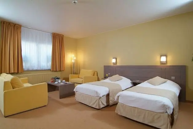 Executive İki Ayrı Yataklı Oda (single use)