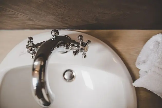 Executive İki Ayrı Yataklı Oda (single use)