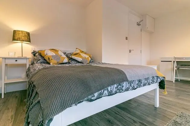 Premium Tek Büyük Yataklı Oda, Ortak Banyo (Conifer Room )