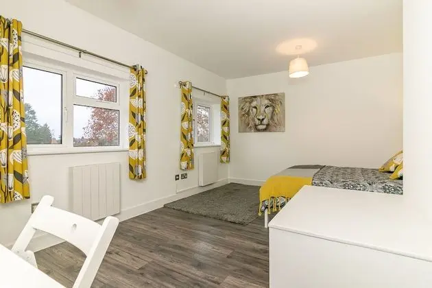 Premium Tek Büyük Yataklı Oda, Ortak Banyo (Conifer Room )