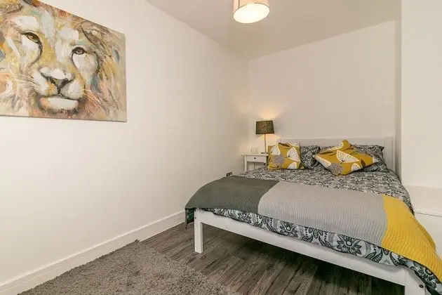 Premium Tek Büyük Yataklı Oda, Ortak Banyo (Conifer Room )