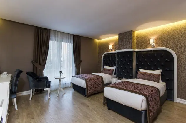 Superior İki Tek Yataklı Oda, Şehir Manzaralı