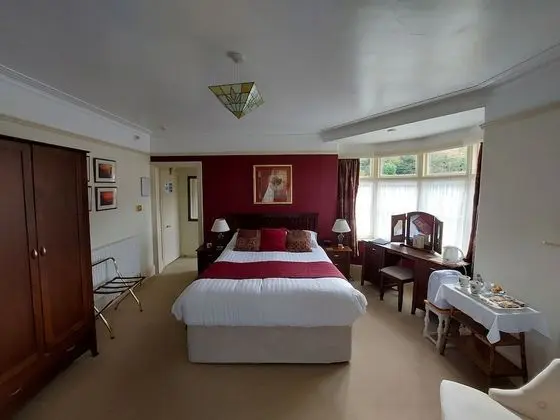 Superior Tek Büyük veya İki Ayrı Yataklı Oda, Banyolu/Duşlu (Room 2)