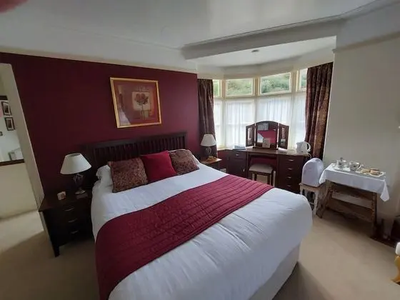 Superior Tek Büyük veya İki Ayrı Yataklı Oda, Banyolu/Duşlu (Room 2)