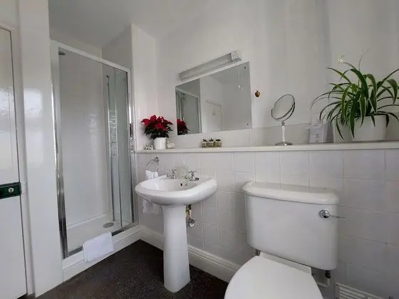 Superior Tek Büyük veya İki Ayrı Yataklı Oda, Banyolu/Duşlu (Room 2)