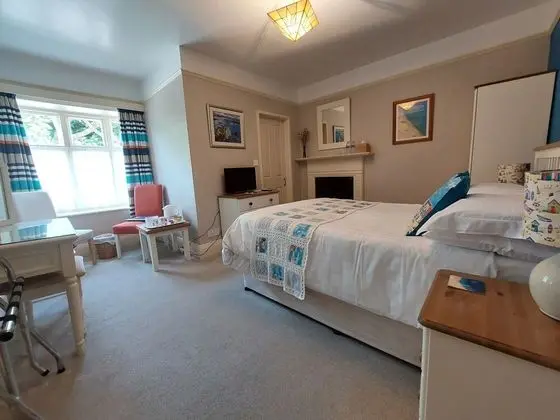 Tek Büyük Yataklı Oda, Banyolu/Duşlu (Room 3)
