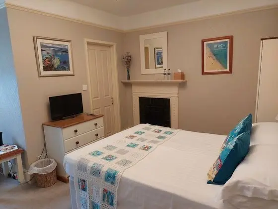 Tek Büyük Yataklı Oda, Banyolu/Duşlu (Room 3)