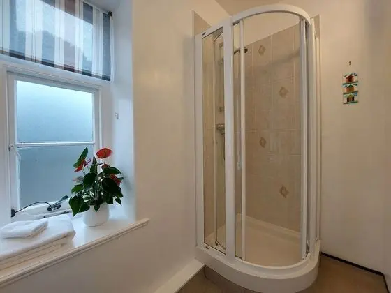 Tek Büyük Yataklı Oda, Banyolu/Duşlu (Room 3)