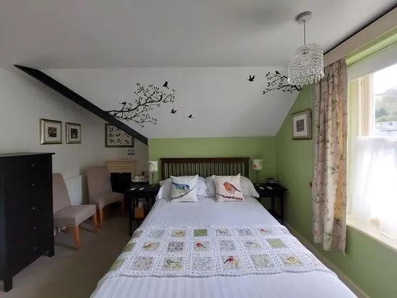 Tek Büyük Yataklı Oda, Banyolu/Duşlu (Room 4)