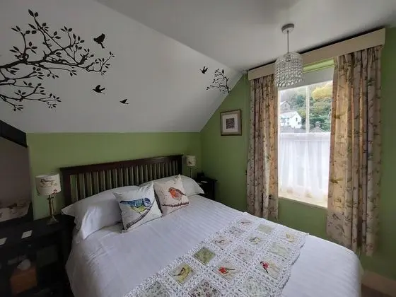 Tek Büyük Yataklı Oda, Banyolu/Duşlu (Room 4)