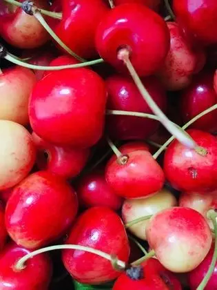 Superior Üç Kişilik Oda, Dağ Manzaralı