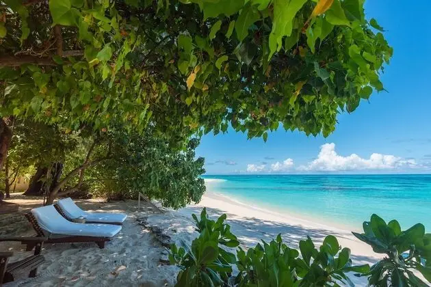 Deluxe Beach Cottage