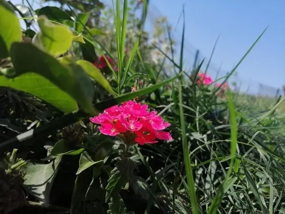 Daire-Tek Yatak Odalı,Deniz ve Dağ Manzaralı,Balkonlu