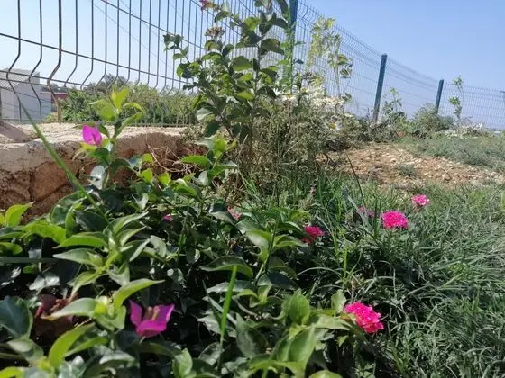 Daire-Tek Yatak Odalı,Deniz ve Dağ Manzaralı,Balkonlu