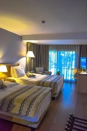 Standart Oda,Bahçe Manzaralı,Fransız Balkonlu