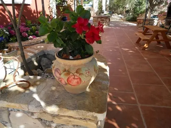 Apart Daire (Depa - garden and barbecue - A3(4+2))