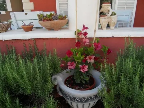 Apart Daire (Depa - garden and barbecue - A3(4+2))