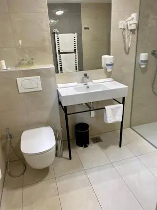 Standard Tek Büyük Yataklı Oda, 1 Yatak Odası, Özel Banyo, Park Manzaralı