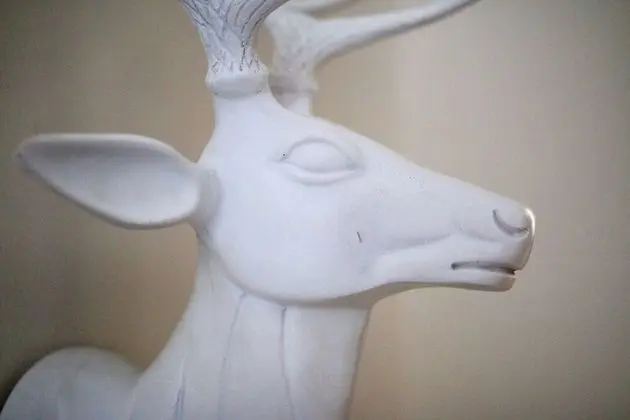 Traditional Daire, 2 Yatak Odası