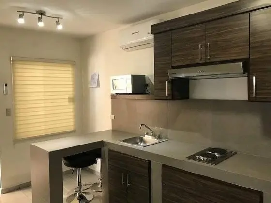 Basic Apart Daire, 1 Çift Kişilik Yatak, Sigara İçilmez, Mutfak