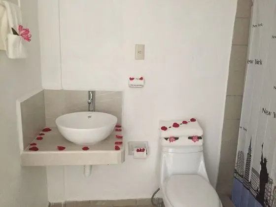 Basic Apartment