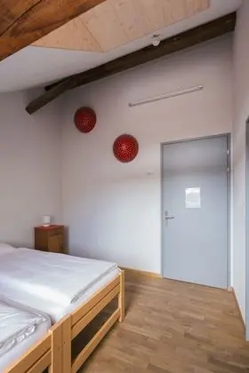 Basic Tek Büyük veya İki Ayrı Yataklı Oda, Özel Banyo
