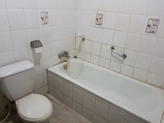 Süit