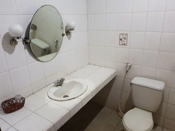 Süit