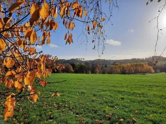 Apart Daire, 1 Büyük (Queen) Boy Yatak ve Çekyat