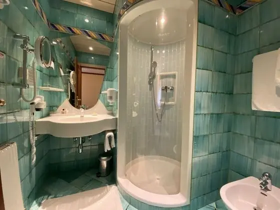 Standard Tek Büyük Yataklı Oda (Olperer)