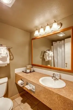 Standard Oda, 2 Büyük (Queen) Boy Yatak (Pet-Friendly)