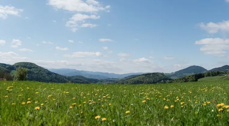 Comfort Tek Kişilik Oda, Dağ Manzaralı