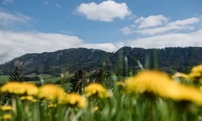 Standard Tek Büyük Yataklı Oda, Tepe Manzaralı