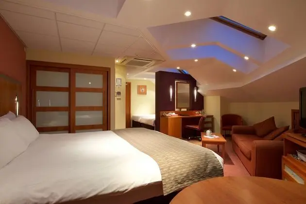 Executive Oda, 1 En Büyük (King) Boy Yatak, Sigara İçilmez