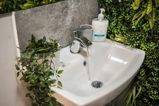 Deluxe Stüdyo, Özel Banyo (Coastal Suite)