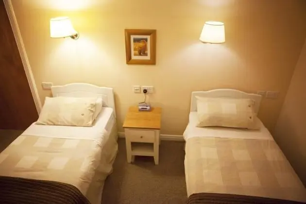 Standard İki Ayrı Yataklı Oda, 2 Tek Kişilik Yatak, Sigara İçilmez