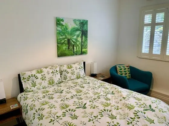 Standard Tek Büyük Yataklı Oda, Banyolu/Duşlu (King Size Bed)