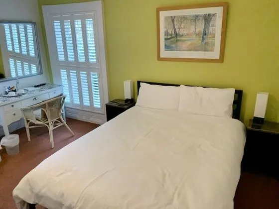 Standard Tek Büyük Yataklı Oda, Banyolu/Duşlu (King Size Bed)