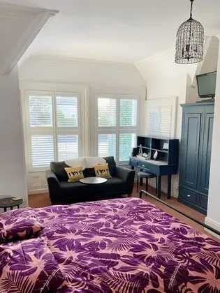 Superior Tek Büyük Yataklı Oda, Banyolu/Duşlu (Spacious)