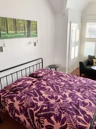 Superior Tek Büyük Yataklı Oda, Banyolu/Duşlu (Spacious)