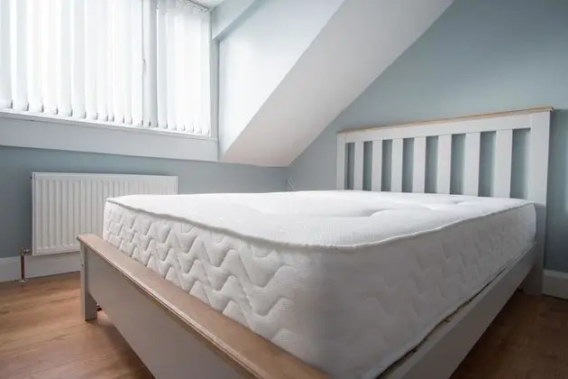 Tek Büyük Yataklı Oda, Özel Banyo