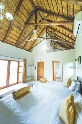 Executive Bungalov