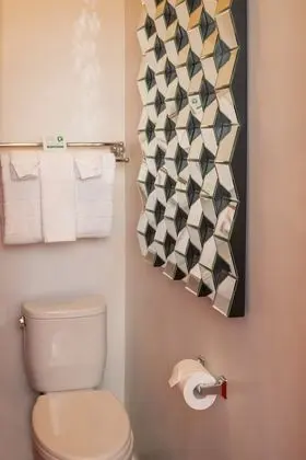 Tek Büyük Yataklı Oda, Banyolu/Duşlu (Standard)