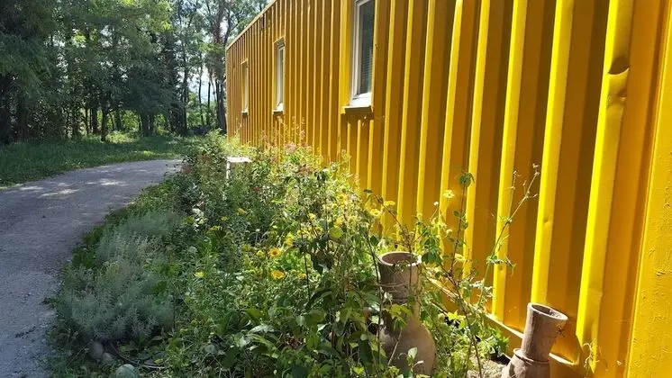 Bungalov (Jaune Soleil)