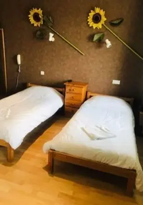 Standard İki Ayrı Yataklı Oda