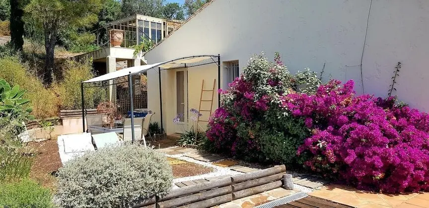 Comfort Tek Büyük Yataklı Oda, Bahçe Manzaralı (Tortue)